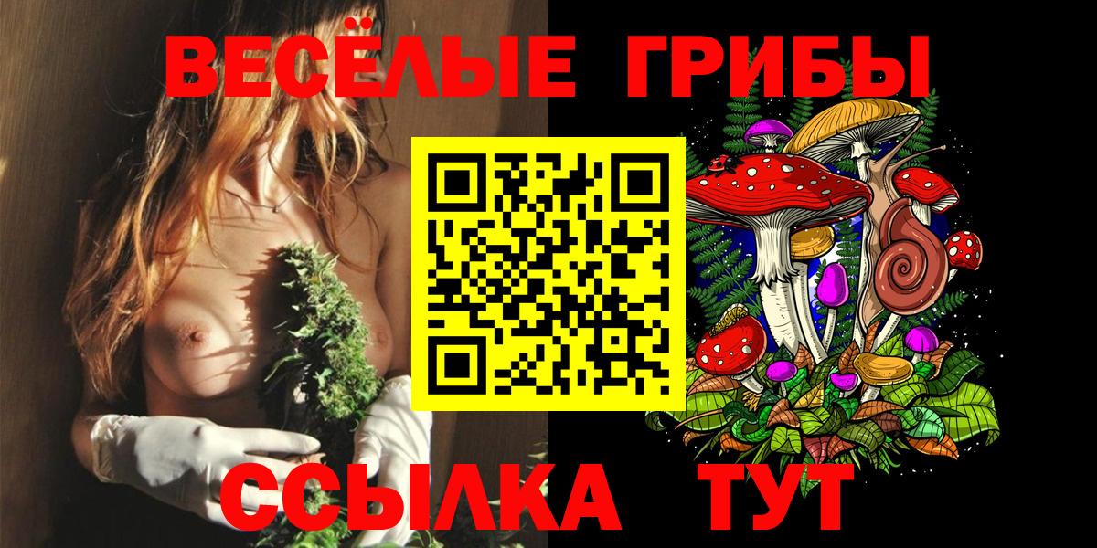 Галлюциногенные грибы Cubensis  что такое   Осинники  Вход с VPN 