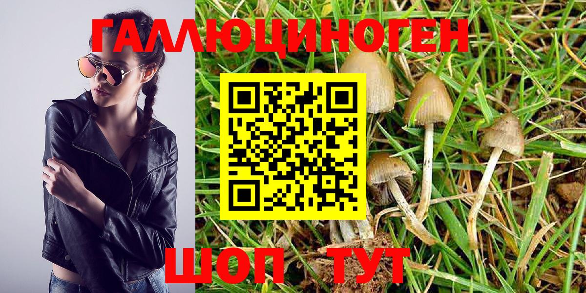 Псилоцибиновые грибы Magic Shrooms Осинники